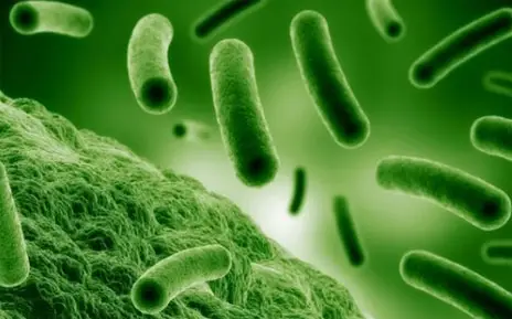 Гонорея та інші жіночі інфекції